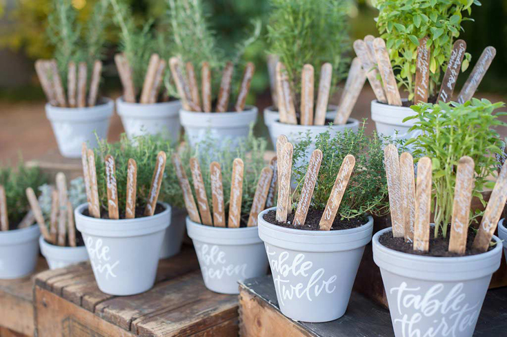 Potted herbs seating assignments by Taryn Eklund Ink | A Vintage Affair Events | Julie Harris Photography